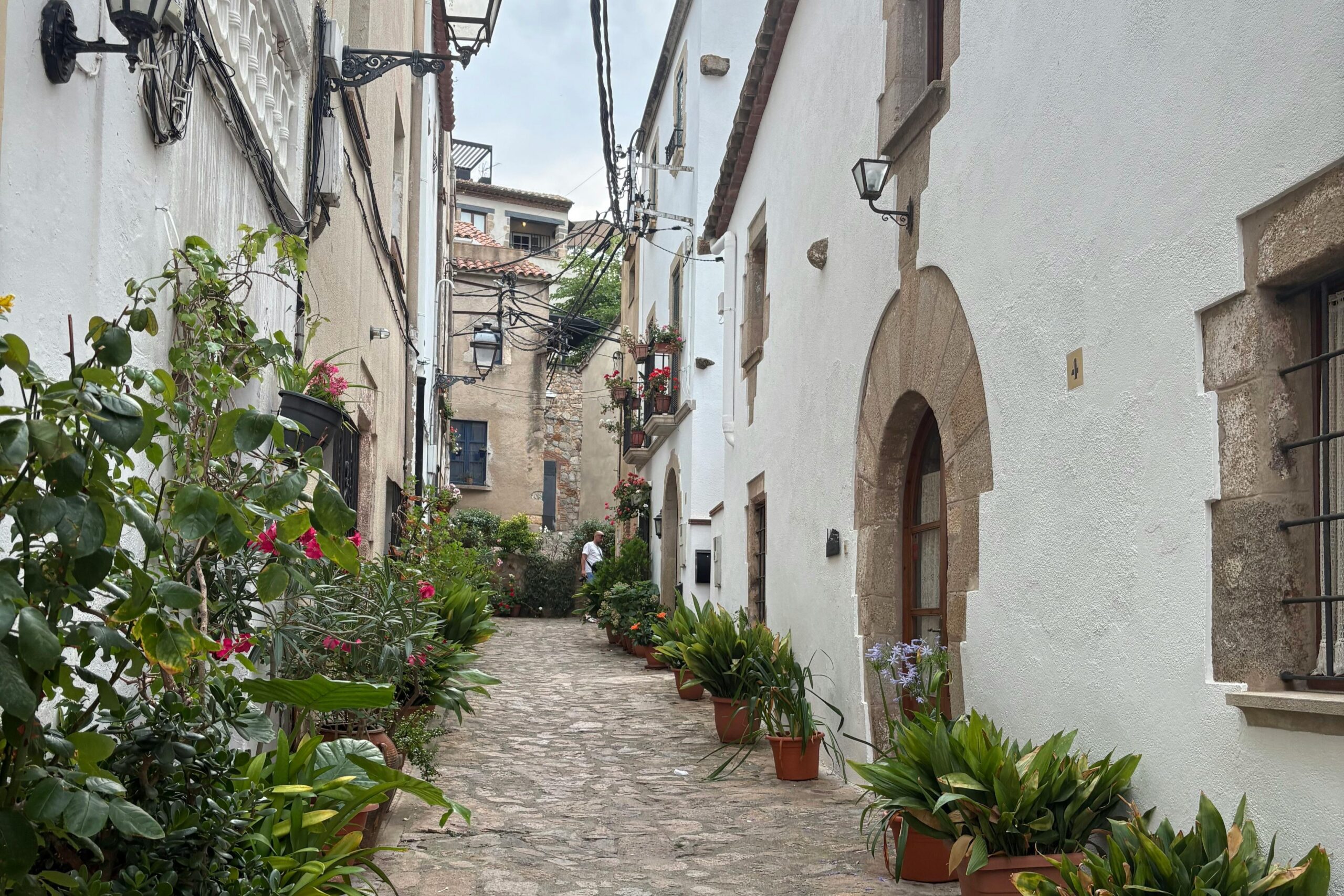 Foto de Sally girly: https://www.pexels.com/ca-es/foto/hermosa-tossa-33443486/